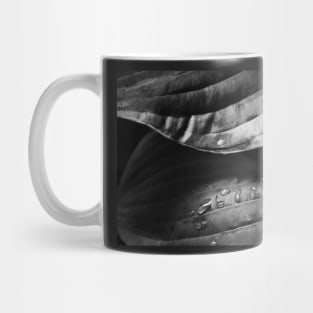 Hosta Mug